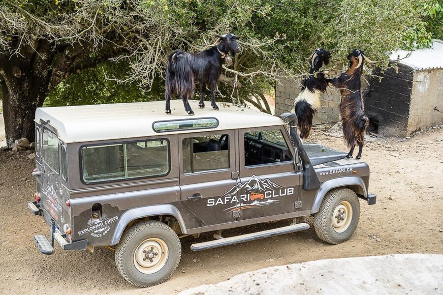 Crete: Land Rover Safari on Minoan Route - Meeting the shepherds at a mountain mitato