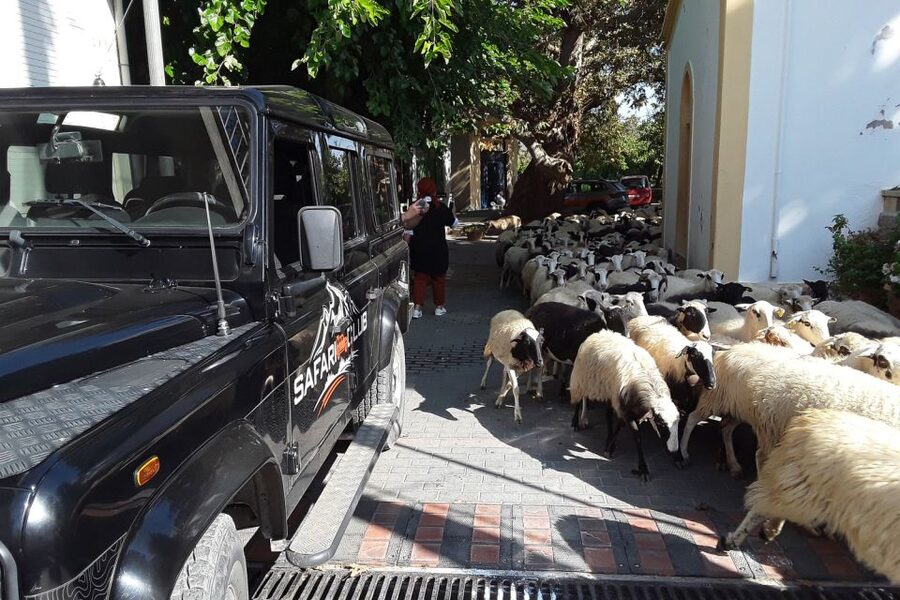 Crete: Land Rover Safari on Minoan Route - Is $110 good value for eight hours?