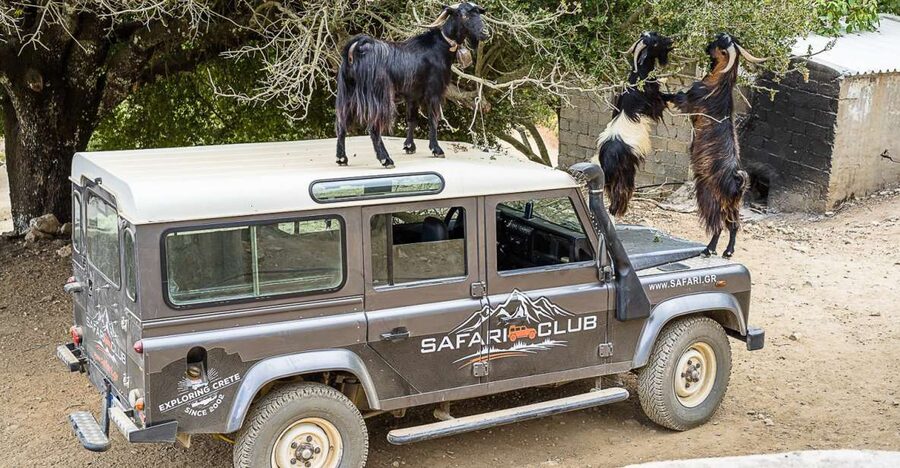 Crete: Land Rover Safari on Minoan Route - A real off-road ride on Crete’s mountain tracks