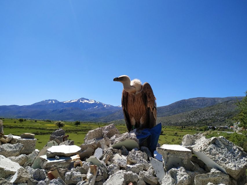 Crete: Lasithi Plateau and Cave of Zeus Off-Road Safari Tour - What to pack and who should book
