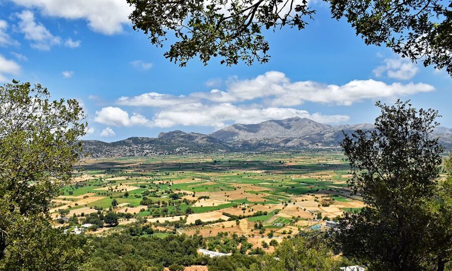 Crete: Lasithi Plateau & Knossos Palace Day Trip - Guides, languages, and the pace of the bus