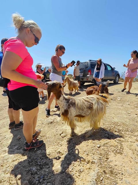 Crete: Lasithi Plateau Zeus Cave Guided Jeep Safari Tour - Olive oil, Avdou, and the taste of village life