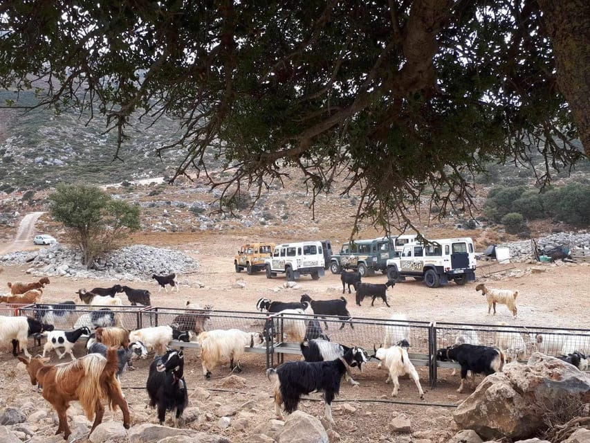 Crete: Lasithi Plateau Zeus Cave Guided Jeep Safari Tour - Krasi and traditional mountain villages