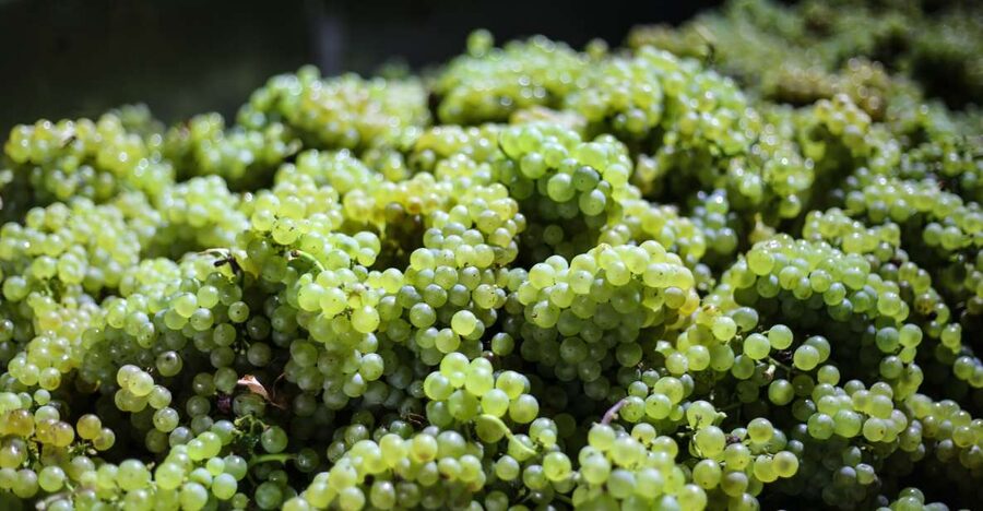 Crete: Olive, Wine, & Raki on a Flavorful Culinary Journey - The included lunch is more than a snack