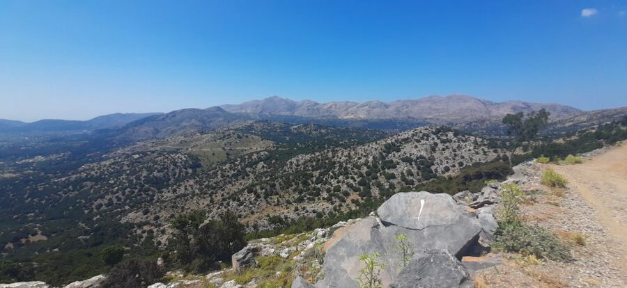 Crete: Olive, Wine, & Raki on a Flavorful Culinary Journey - Who should choose this experience?