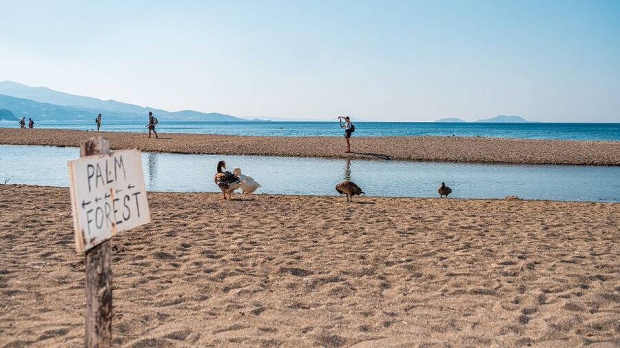 Crete: Preveli Tropical Beach and Palm Forest - Shoes, heat, and the return climb