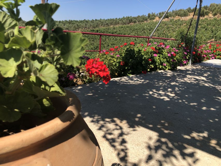 Crete Private Tour: The Secrets of Wine, Olives & Honey - Garazo’s stone streets and folk traditions