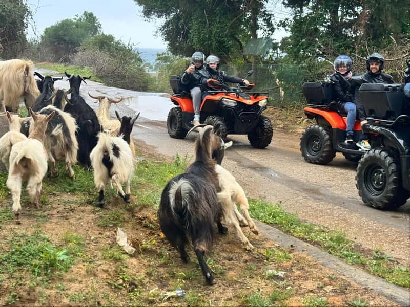Crete: Quad Safari with Ghost Town Exploration - The Agia Pelagia viewpoints