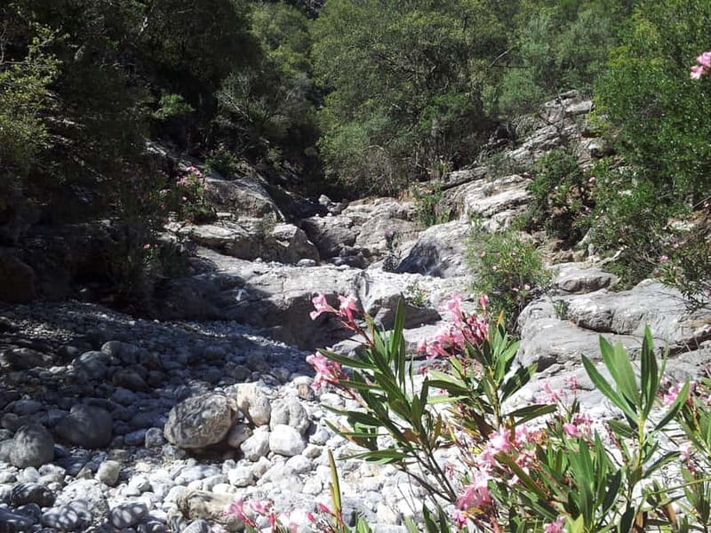 Crete: Richtis Waterfall Full-Day Tour with Olive Tasting - The waterfall pool and swimming time
