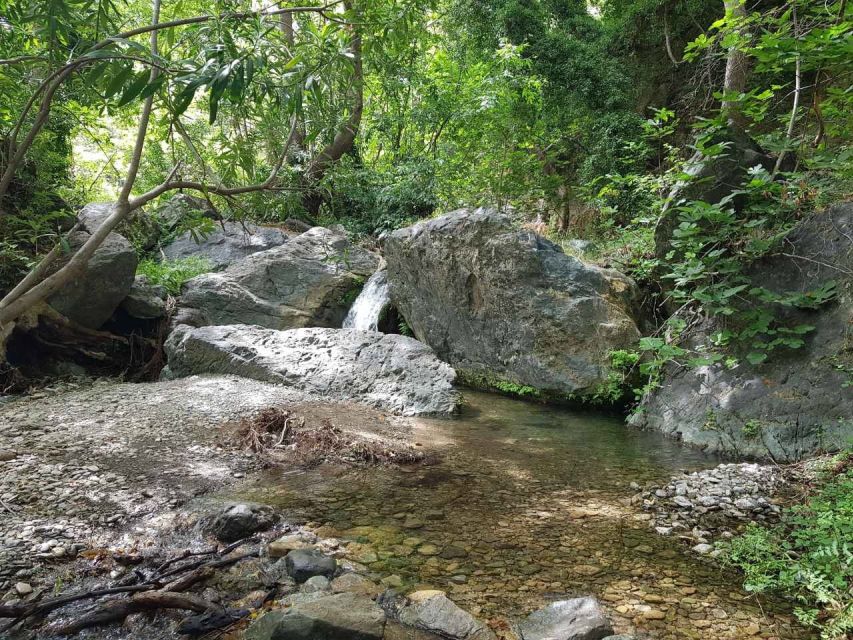 Crete: Richtis Waterfall Full-Day Tour with Olive Tasting - A Cretan lunch at a local taverna