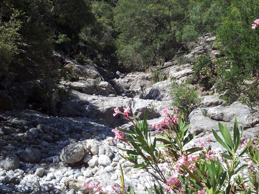 Crete: Richtis Waterfall Full-Day Tour with Olive Tasting - How the $111 price measures up