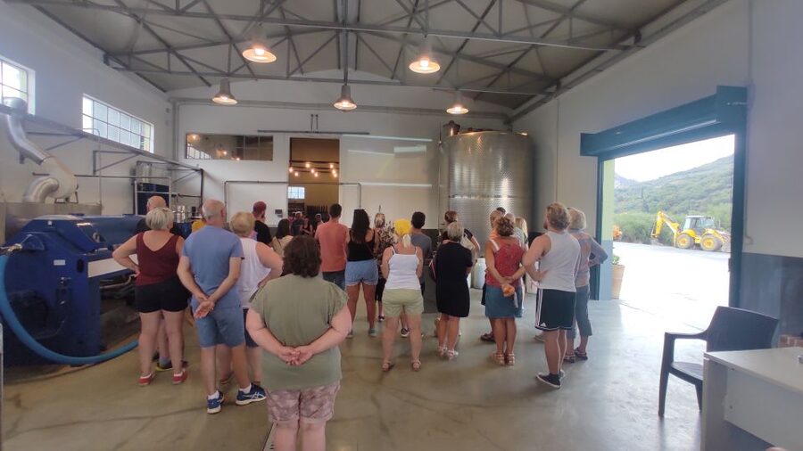 Crete: Sightseeing Day Trip with Cooking Lesson and Lunch - Finishing at an olive oil factory