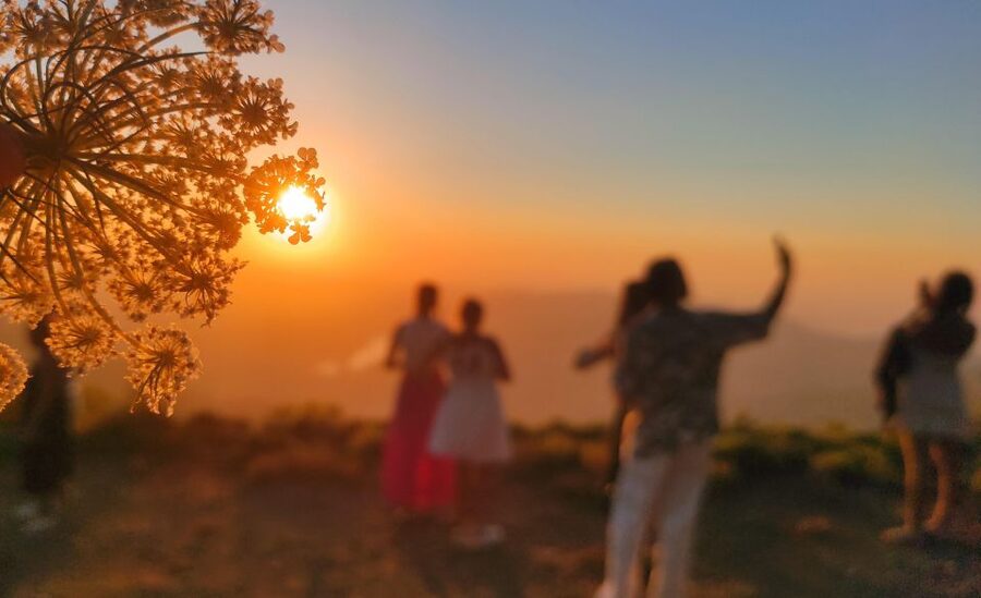 Crete: Sunset Safari - Dinner in Malia with Cretan flavors