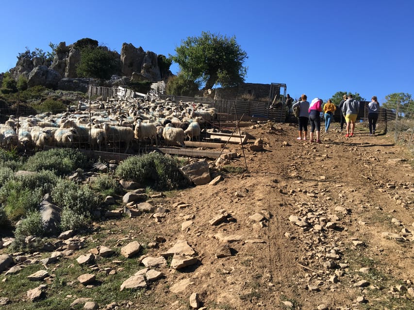 Crete: White Mountains Preserve Day Tour - Who should book this tour