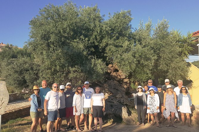 Crete Wine and Olive Oil Tour - Transport, pickup, and group details