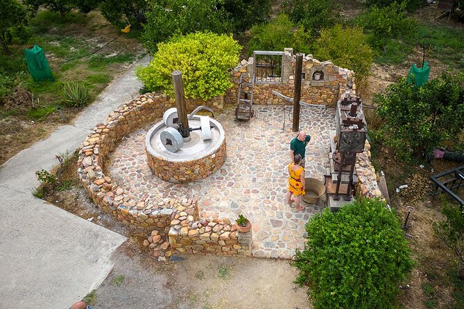 Crete Wine and Olive Oil Tour - Anoskeli Winery and Olive Mill