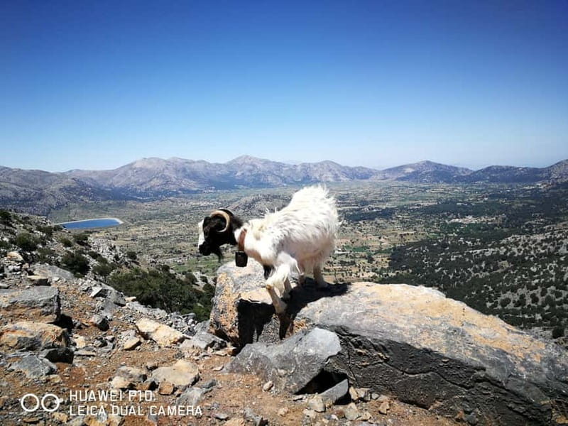 Crete:Zeus & Lassithi Plateau, OliveTasting, Kritza, Pottery - The Lassithi Plateau and the climb to Zeus Cave
