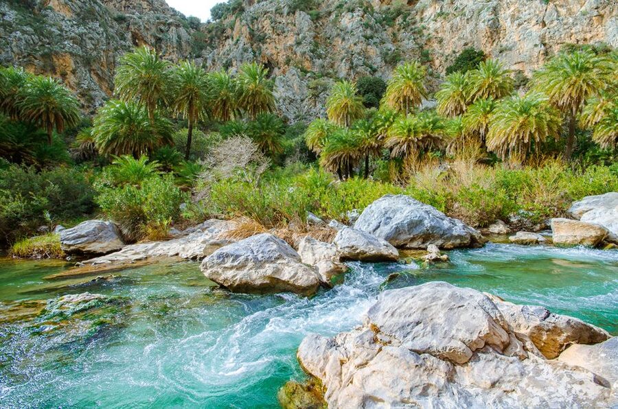 Day Trip to Preveli & Damnoni Beach & Rethymno City Tour - Damnoni Beach and the First Boat Ride