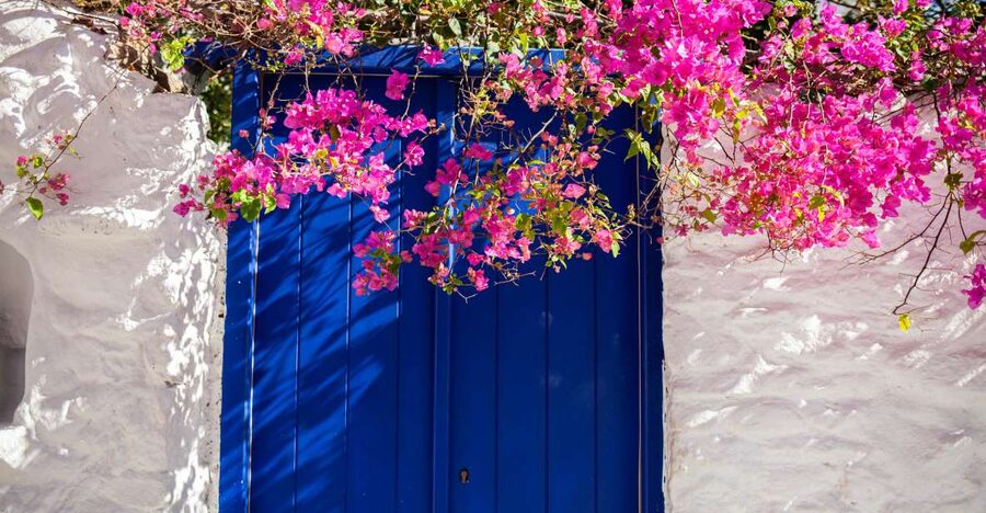 Discover Mykonos in 4 Hours: Beaches, Villages and Town - Starting Near the Old Port