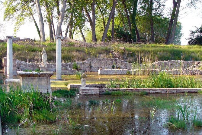 Discover Olympus & Dion: Private Day Trip from Thessaloniki - Vehicle comfort, pickup, and group value