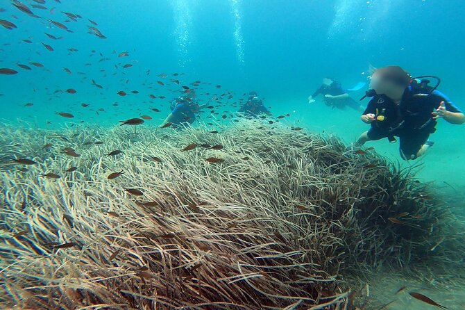Discover Small Group Scuba Diving Experience in Nea Makri, Athens - Getting ready at Kanelakis Diving Experiences