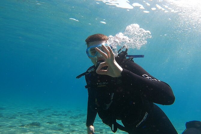 Discover Small Group Scuba Diving Experience in Nea Makri, Athens - Photos, videos, and the $108.61 price