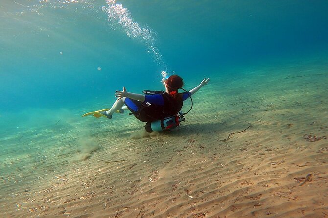 Discover Small Group Scuba Diving Experience in Nea Makri, Athens - Calm-water practice before the main session