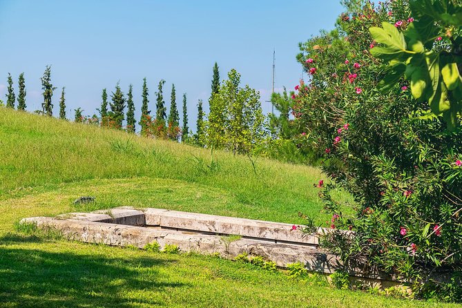 Discover Vergina and Pella: Day Trip to Macedonian Kingdom - The New Museum of Aigai and the wider royal story