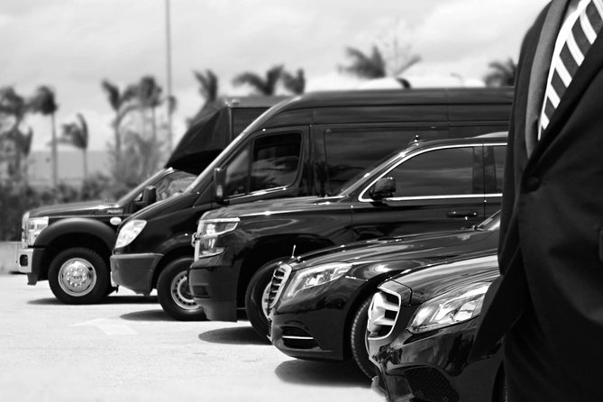 Economy Arrival Transfers From Santorini Airport To All Destinations - Why a prebooked airport ride helps in Santorini