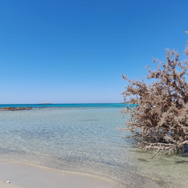 Elafonissi: Private Beach Day Trip with SUP - The value of $70 per person
