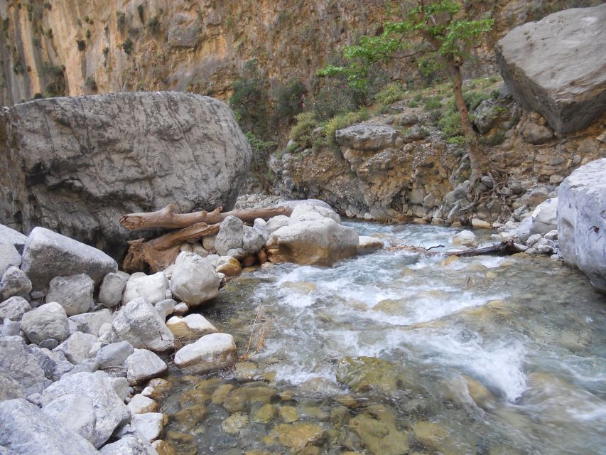 From Agia Galini/Matala: Samaria Gorge Hiking Tour - The early road to Omalos Plateau