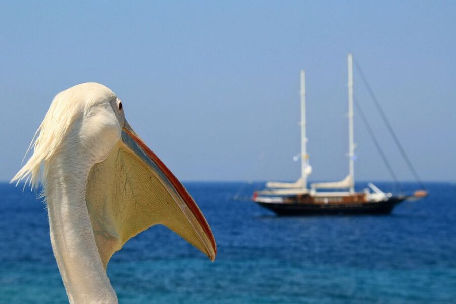 From Athens: 2-Day Santorini and Mykonos Trip - Six hours across the Aegean to Santorini
