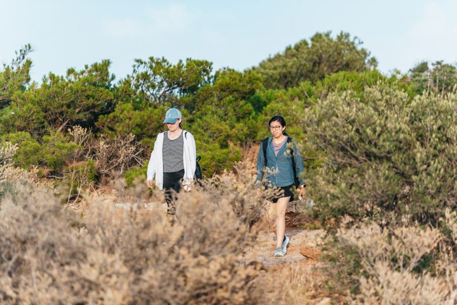 From Athens: Cape Sounion & Temple of Poseidon Half Day Tour - Anavyssos beach from May through October