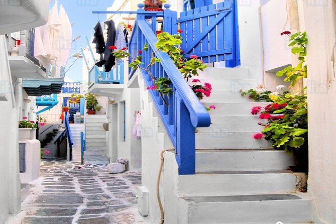 From Athens: Day Tour to Mykonos - What the $253.43 Price Buys You