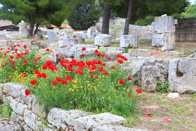 From Athens: Explore Ancient Corinth & Charming Nafplion - Who should book this Ancient Corinth and Nafplion trip?