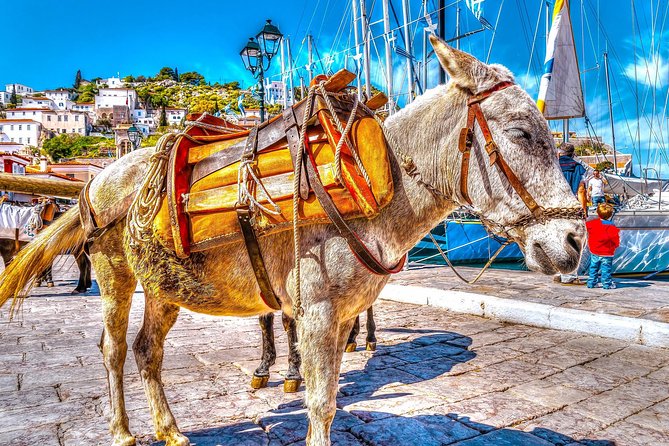 From Athens: Hydra, Poros, and Aegina Day Cruise with Lunch - A full day on the Saronic Gulf