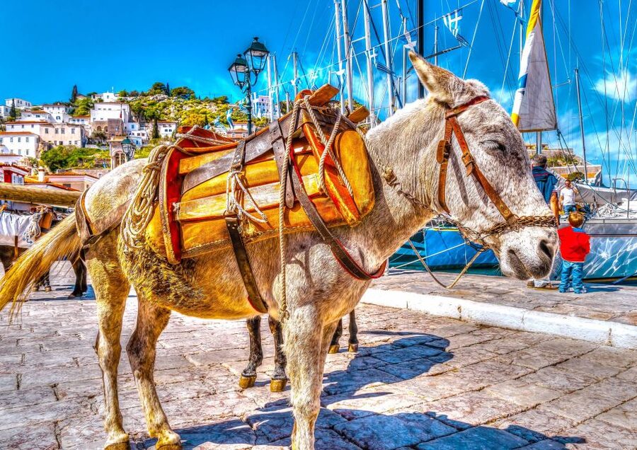 From Athens: Saronic Islands Full-Day Cruise with VIP Seats - What the VIP section really adds