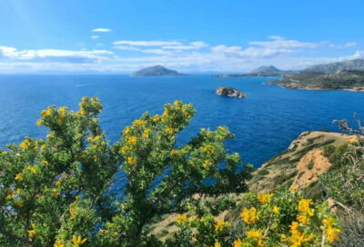 Temple of Poseidon & Cape Sounion Half-Day Tour