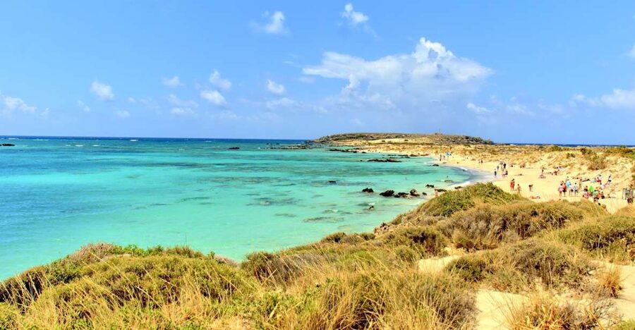 From Chania Area: Day Trip to Elafonisi Island by Bus - The coffee stop and local honey