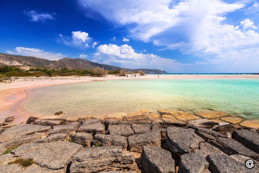 From Chania: Day Trip to Elafonisi Island Pink Sand Beach - What the $38 price really covers