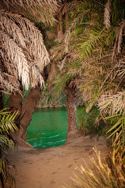 From Chania: Day Trip to Preveli Beach & Damnoni Beach - Two and a half hours at Preveli Beach