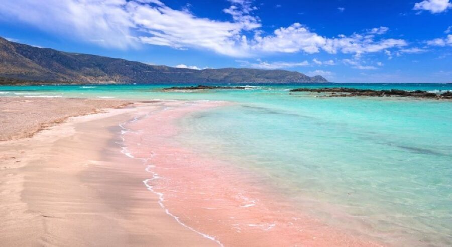 From Chania: Elafonisi Island Day Tour by Bus - Four hours beside Elafonisi’s pink-white sand