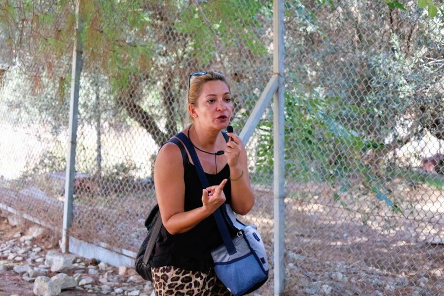 From Chania: Full-Day Heraklion Highlights Guided Tour - Private or shared tour?