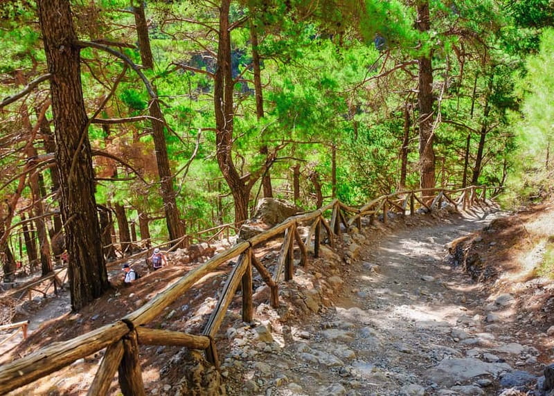 From Chania: Full-Day Samaria Gorge Trek Excursion & Guide - The ferry and bus ride back to Chania