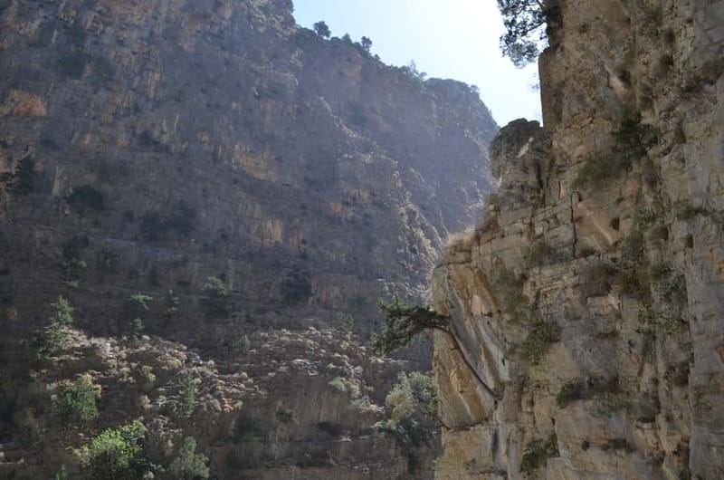 From Chania/Kalyves: Full-Day Samaria Gorge Hiking Day Trip - Key points to know before you go