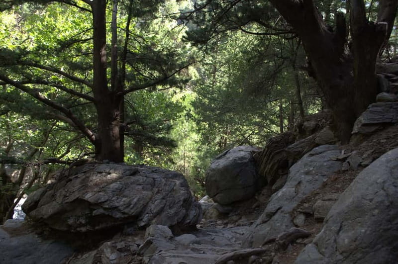 From Chania/Kalyves: Full-Day Samaria Gorge Hiking Day Trip - Who should book this hike?