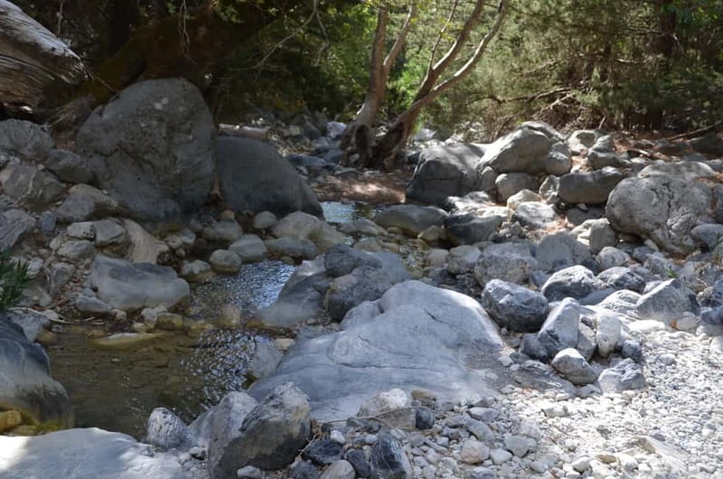 From Chania/Kalyves: Full-Day Samaria Gorge Hiking Day Trip - What you see inside the gorge