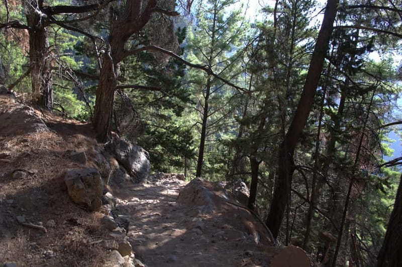 From Chania/Kalyves: Full-Day Samaria Gorge Hiking Day Trip - Walking with Pari, Dafne, or another mountain guide