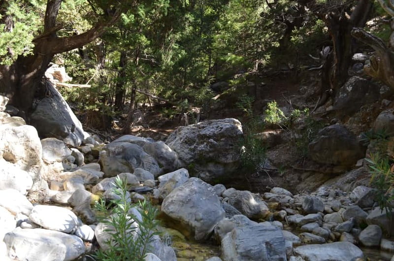 From Chania/Kalyves: Full-Day Samaria Gorge Hiking Day Trip - Reaching Agia Roumeli after 5 to 6 hours