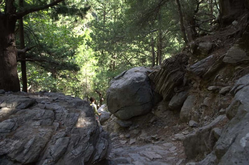 From Chania/Kalyves: Full-Day Samaria Gorge Hiking Day Trip - Price, extra costs, and overall value